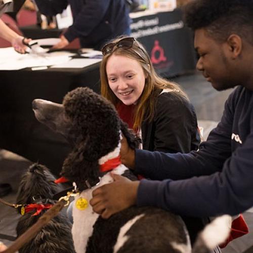 Students greet a therapy dog in Cromer Center